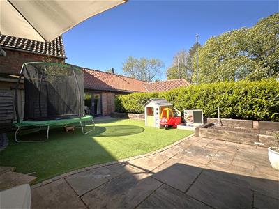 Picture 23